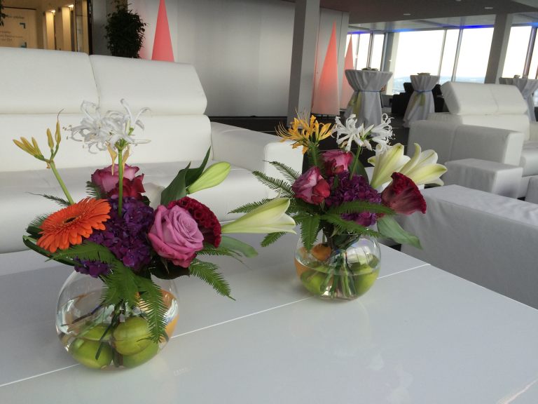 iPhone Sept 2015 028